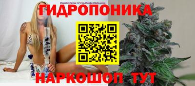 эйфоретик Обь