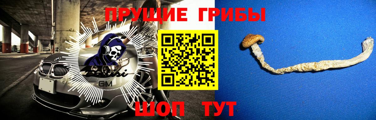 Ачхой-Мартан  Псилоцибиновые грибы Magic Shrooms  Вход с VPN 